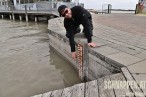 2020WassermesslatteInRustAmNeusiedlerseeFotoPrinzSCHNAPPENat.JPG