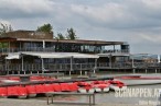 RustAmNeusiedlerseeDringensterHandlungsbedarfAustrocknungFotoPrinzSCHNAPPENat.JPG