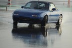 DriftenAmWachauringFotoAnnemariePrinzOnlineMagazinSCHNAPPENat.JPG