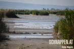 MoerbischNeusiedlerSeeAusgetrocknetFotoPrinzSCHNAPPENat3.jpg