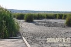 MoerbischNeusiedlerSeeAusgetrocknetFotoPrinzSCHNAPPENat5.jpg