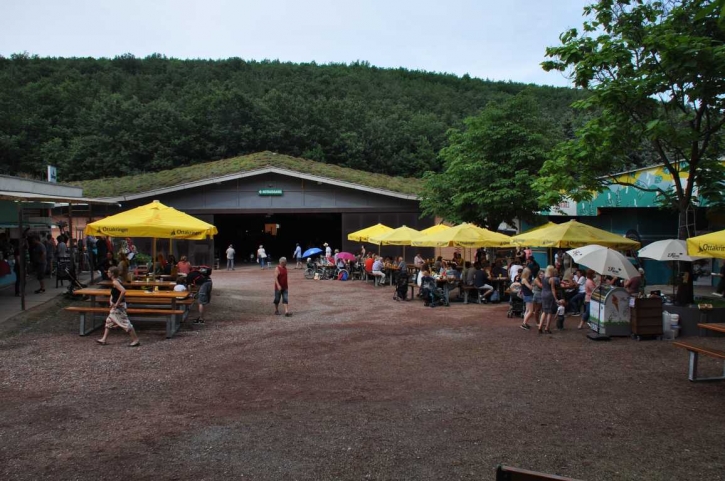 BurgenlandFestivalAllesErdbeereWiesenFotoPrinzSCHNAPPENat