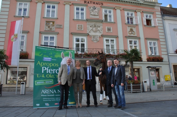 PferdHauptplatzRathausWienerNeustadtFotoPrinz