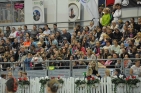 BesucherPferdemessePrinzSCHNAPPENat