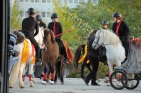 ShowreitenAproposPferdPrinzSCHNAPPENat