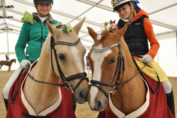 2013AproposPferdFotoAnnemariePrinz