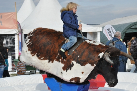 BullridingFotoAnnemariePrinz