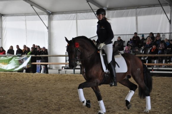 ReitvorfuehrungFotoAnnemariePrinz
