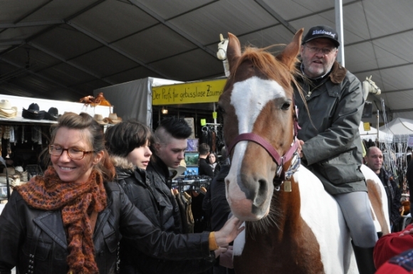 WaeldnerhofPferdeFotoAnnemariePrinz