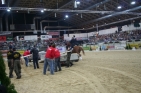 ArenaNovaWr.NeustadtFotoPrinz (1)