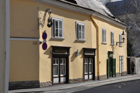 StadtgemeindeBadenFotoAnnemariePrinz
