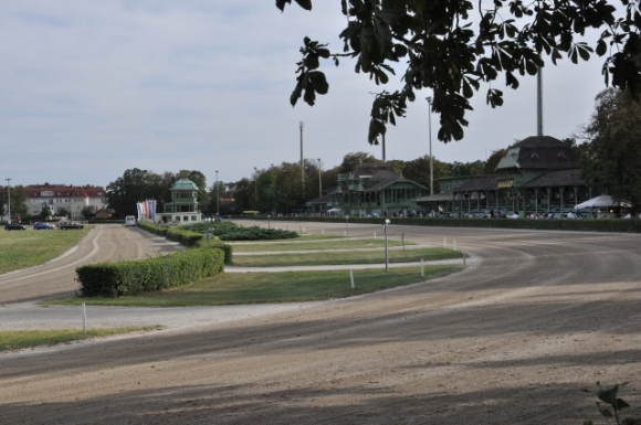 TrabenPferderennbahnFotoPrinz
