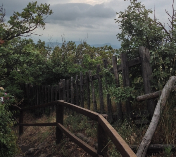 2014BalatonNationalParkWegeFotoKelo