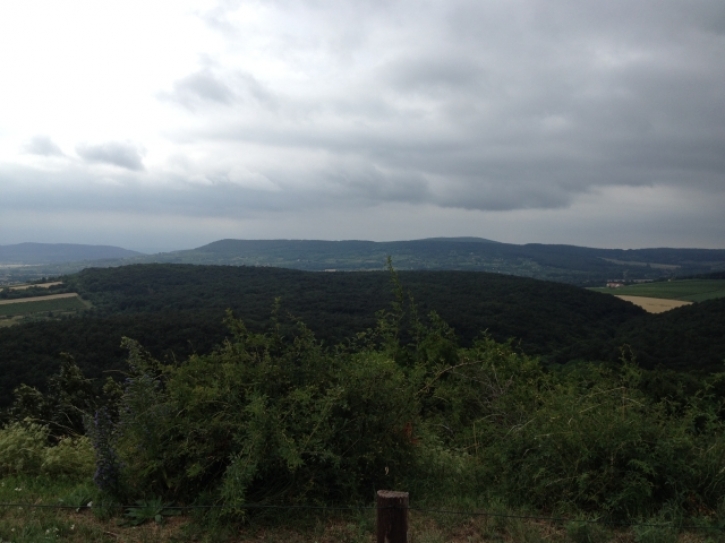 BalatonNationalParkInUngarnFotoKelo