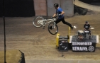 MastersOfDirtFechterManagementFotoPrinz