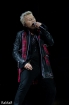 BillyIdolRebelYellFotoRaMaR