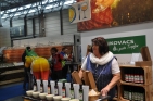 KovacsburgenlandFotoWilhelmBoehm