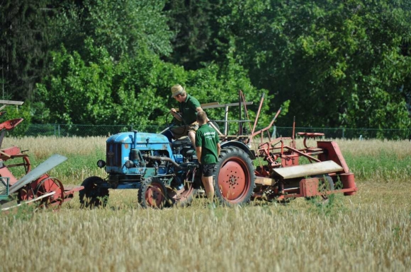 LandwirtschaftsfahrzeugeAltFotoPrinzSCHNAPPENat