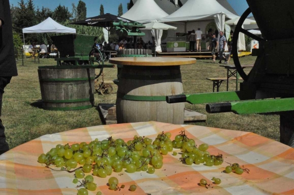 WeinpresseFaesserTraubenFotoPrinzSCHNAPPENat