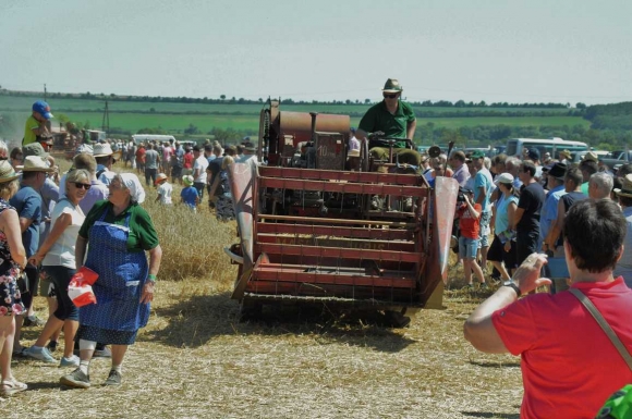 HistorischeFahrzeugeVorfuehrungFotoPrinzSCHNAPPENat