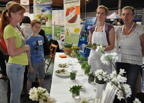 WienerNeustadtFruehlingVital2015FotoPrinz