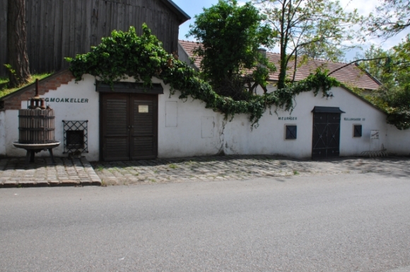 GolserWeinkellerFotoAnnemariePrinz