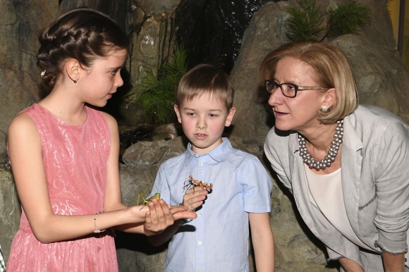 AusstellungHausDerNaturMuseumNOEFoto(c)NLKReinberger