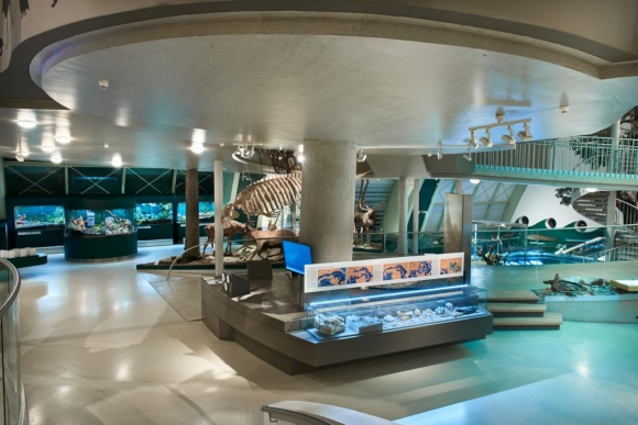 InnenansichtMuseumNiederoesterreichFotoMuseumNiederoesterreichKlausEngelmayer
