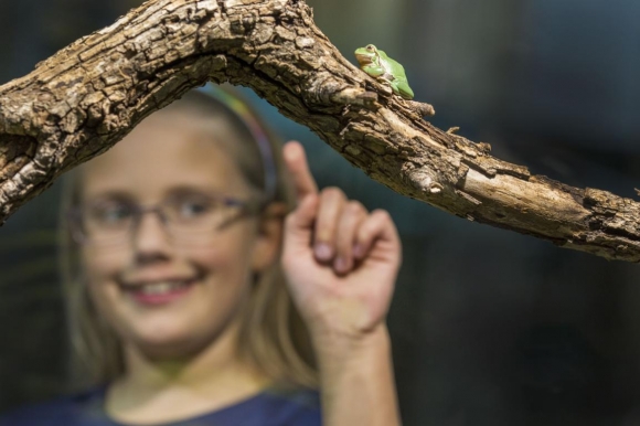 NaturbereichFroschFotoTheoKustWWWimagefotoAT