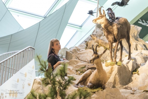 NaturbereichGletscherMuseumNiederoesterreichFotoMuseumNiederoesterreichTheoKust