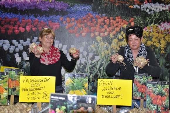 HausGartenMesseWienerNeustadtFotoPrinzOnlineMagazinSchnappenAt