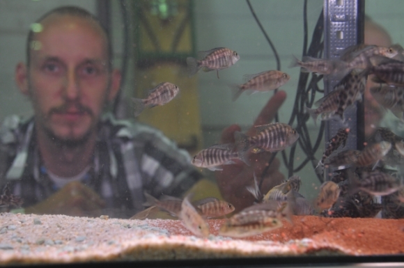 FischeAquariumWienerNeustadtFotoPrinz