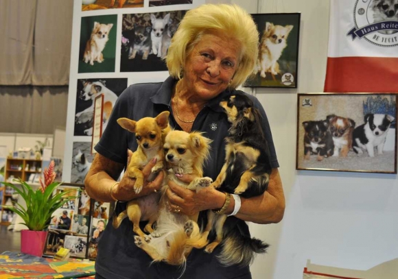 2017HaustierAktuellHundeFotoPrinzSCHNAPPENat