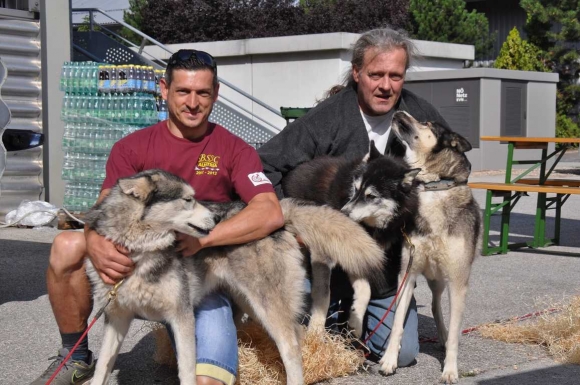 BurgenlaendischeSchlittenhundeFotoPrinzSCHNAPPENat