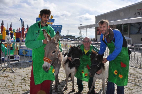 EselPonyLuftburgenArenaNovaFotoPrinzSCHNAPPENat
