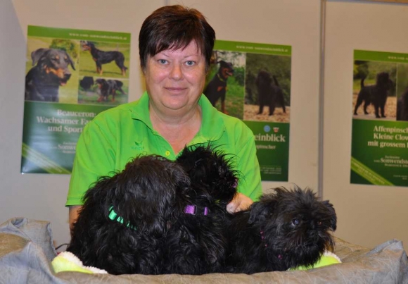 HundeZuchtAusstellungFotoPrinzSCHNAPPENat
