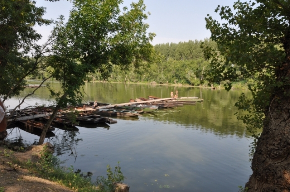NaturschutzgebietTheissFotoWilhelmBoehm