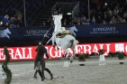 BodenarbeitLipizzanerFotoAnnemariePrinz