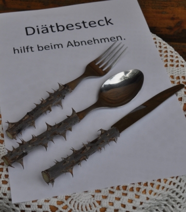 2014DiaetbesteckDornenFotoAnnemariePrinz