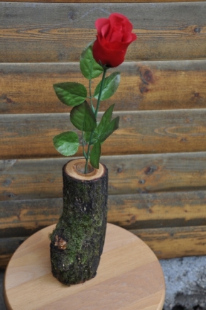 BlumenvaseAkazieFotoAnnemariePrinz