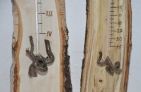 ThermometerAkazieKorkenhaslerFotoPrinz