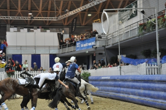 2013HorseBallWrNeustadtFotoAnnemariePrinz