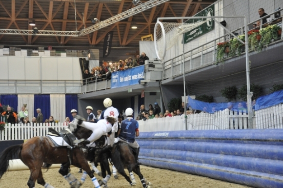 2013HorseballWrNeustadtPferdFotoAnnemariePrinz