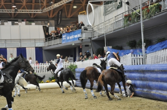 2013HorseballWrNeustadtSturzFotoAnnemariePrinz