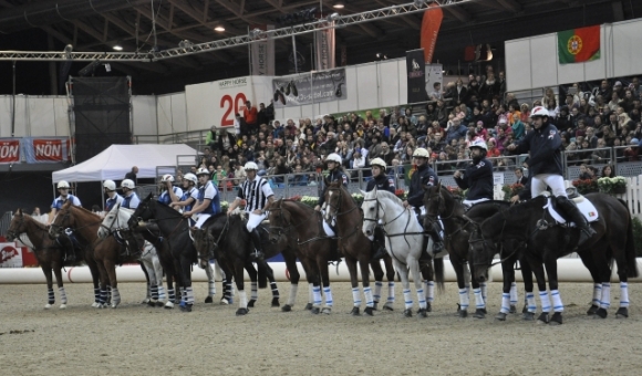 AproposPferd2013FotoAnnemariePrinz
