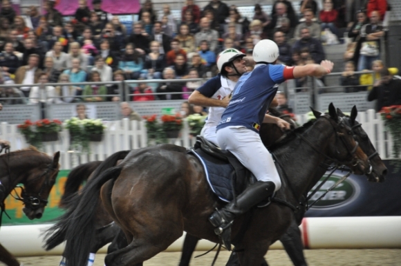 AproposPferd2013FotoPrinz