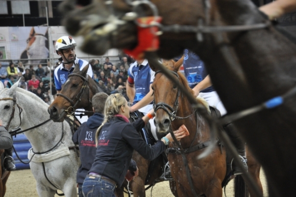 HorseballPauseFotoAnnemariePrinz