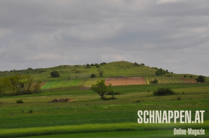 JoisLandschaftFotoAnnemariePrinz