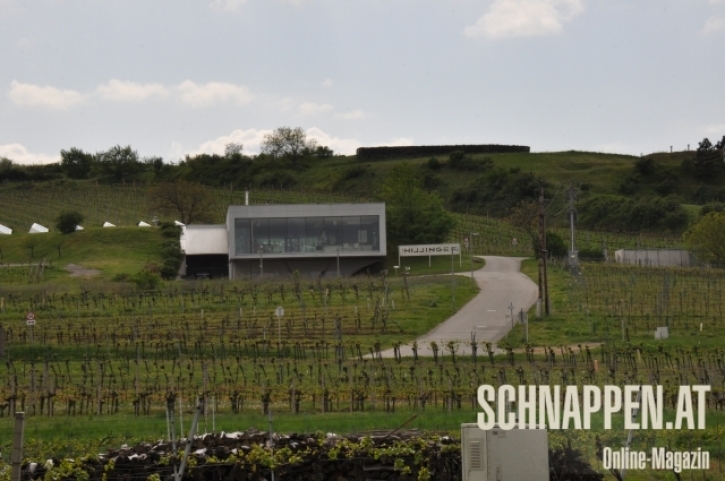 JoisLeoHillingerFotoAnnemariePrinz