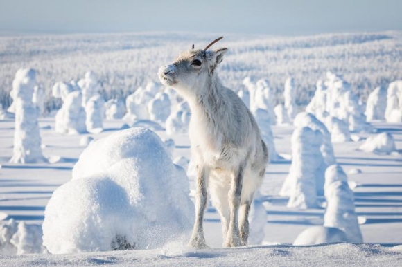 KinofilmAilosReise2019FotoBorsalinoGaumontMRPMatilaRoehrProdctions